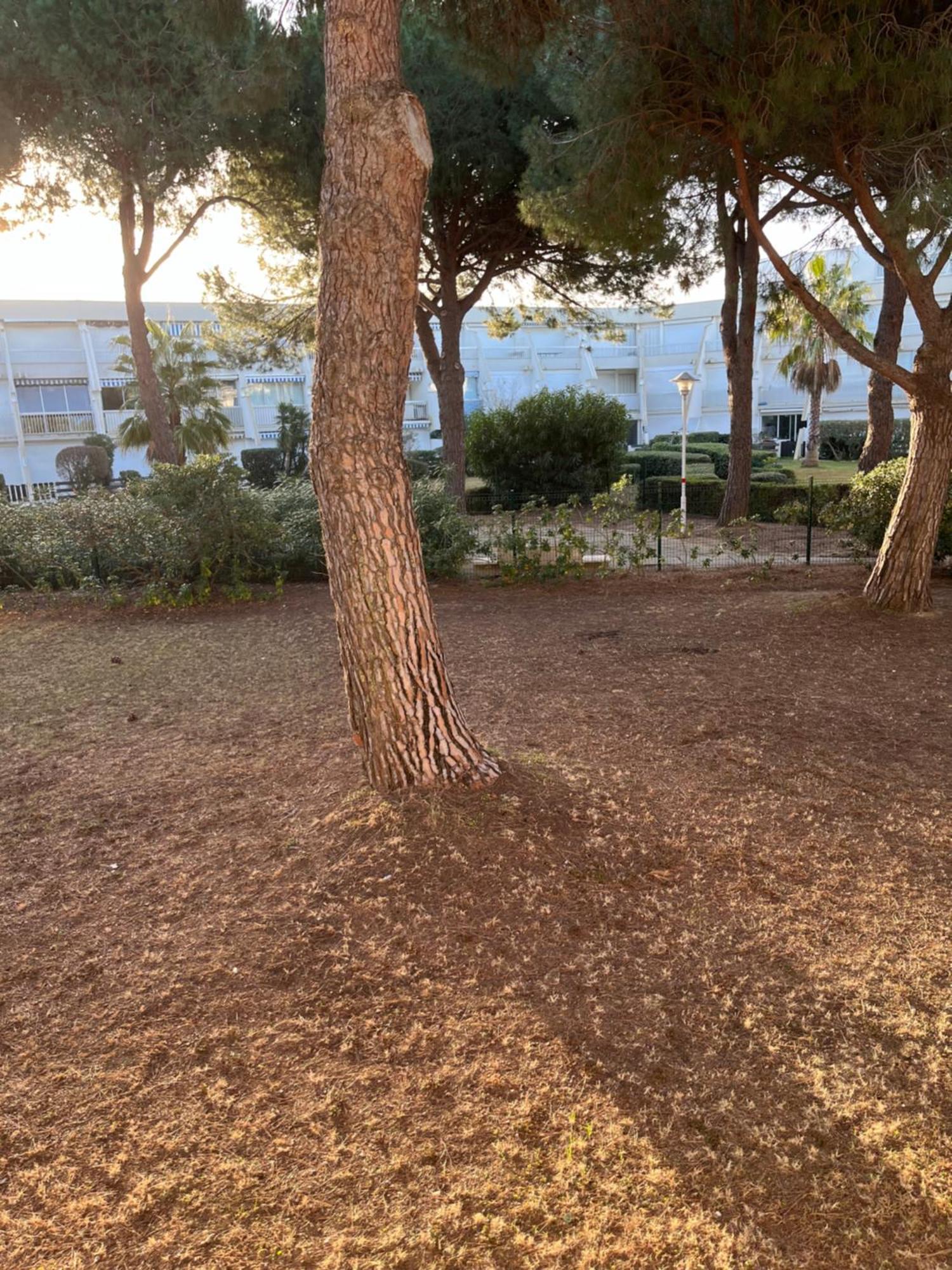 Les Caravelles Plage Sud Le Grau-du-Roi Bagian luar foto